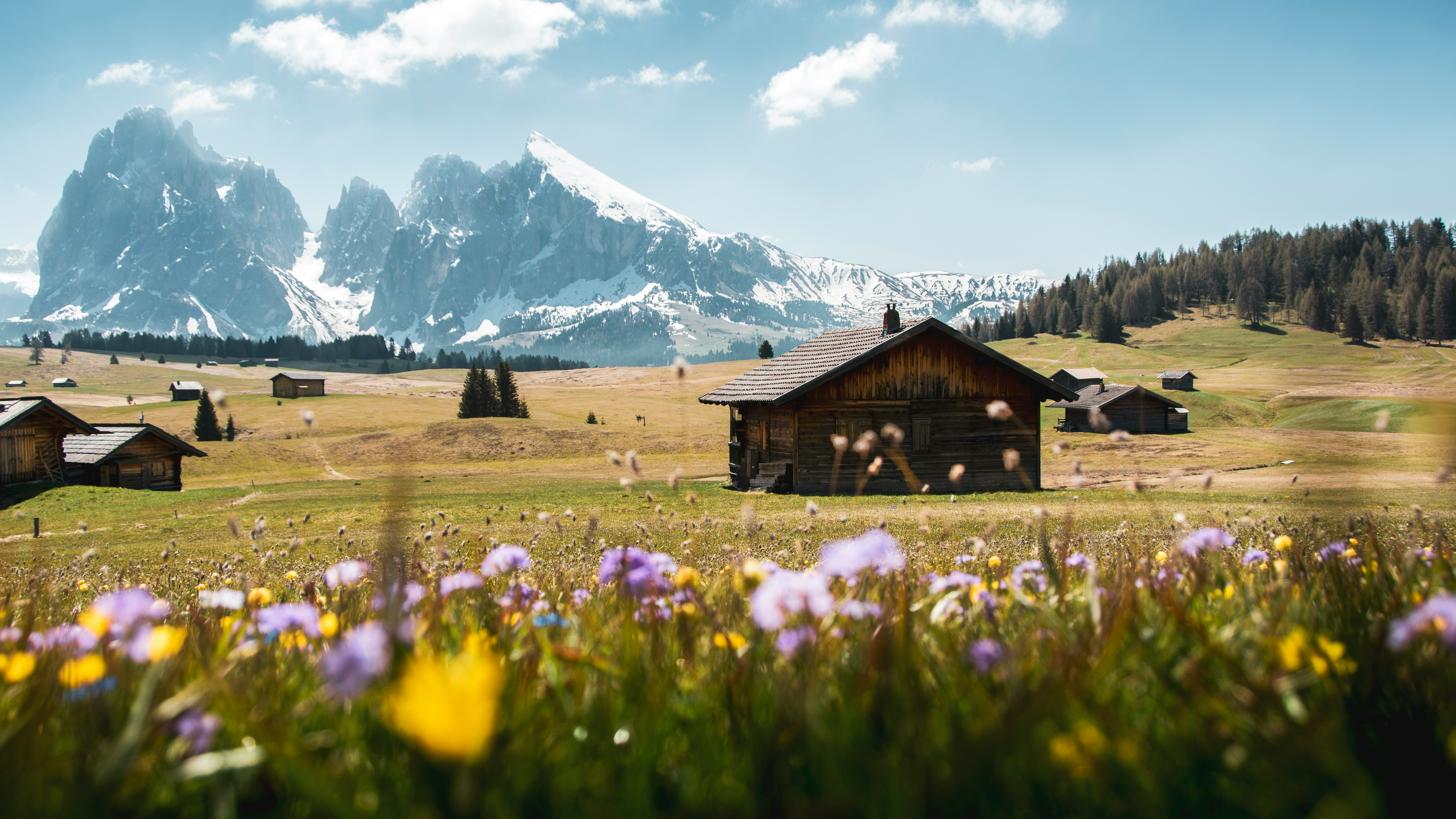 brown wooden house on green grass field near snow covered mountain during daytime